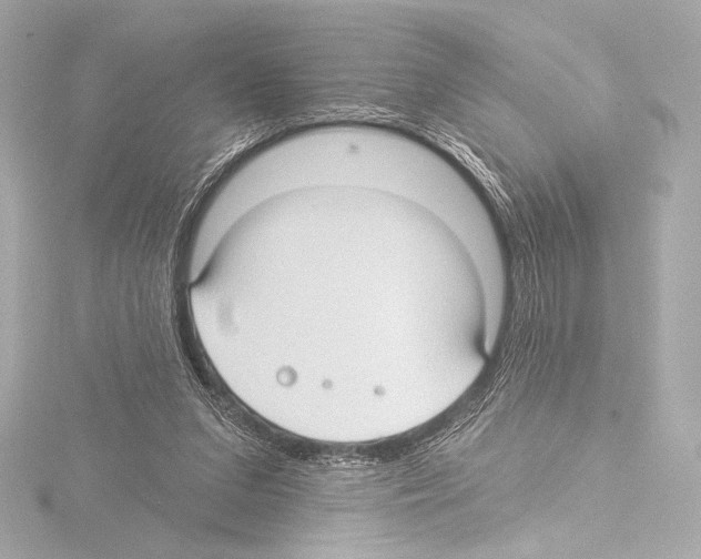 X0000115530207200912181534