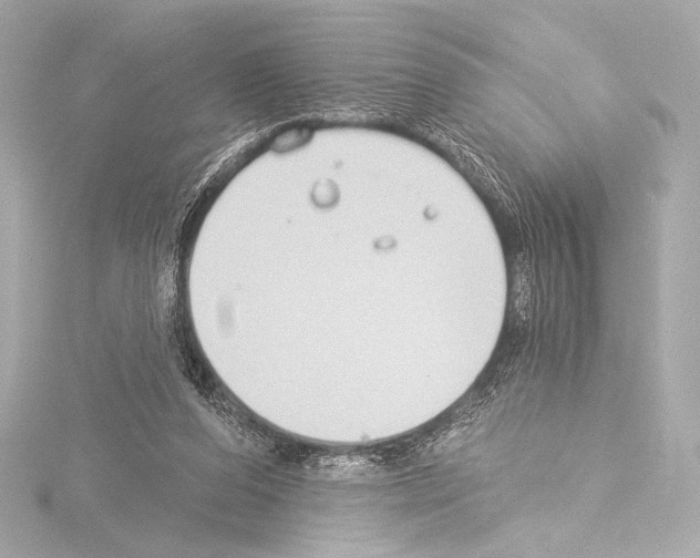 X0000115530208200912181534