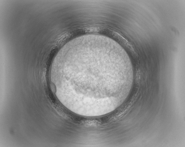 X0000115530209200912181534