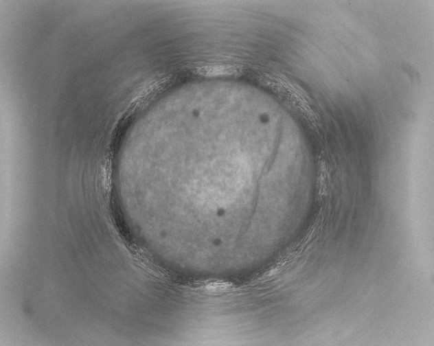 X0000115530210200912181534