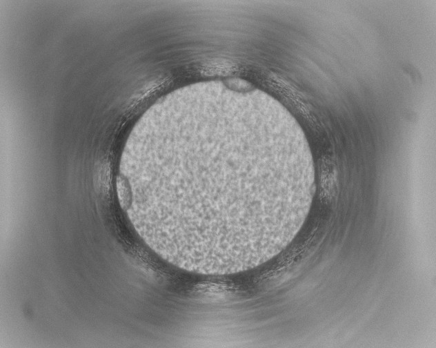 X0000115530211200912181534