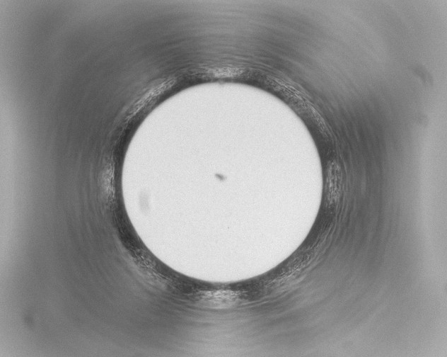 X0000115530212200912181534