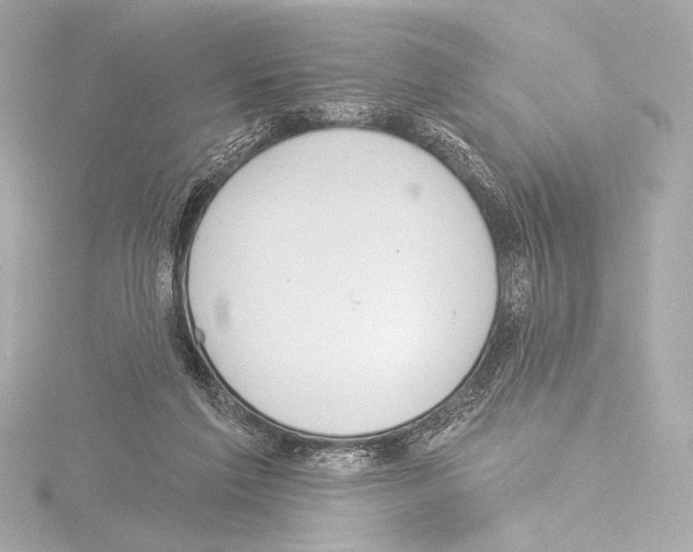 X0000115530213200912181534