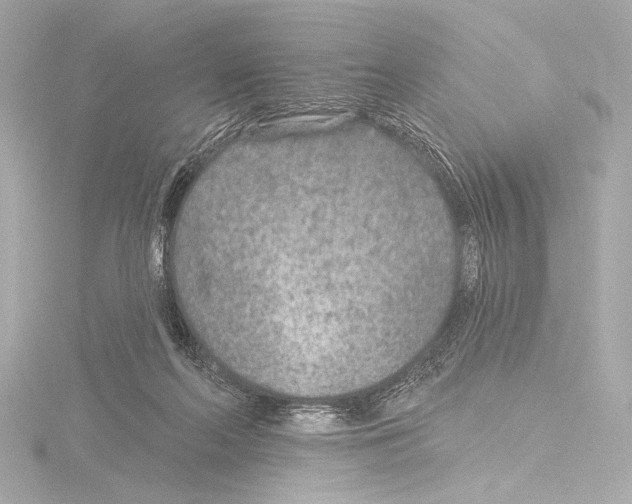 X0000115530214200912181534