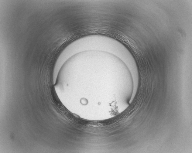 X0000115530215200912181534