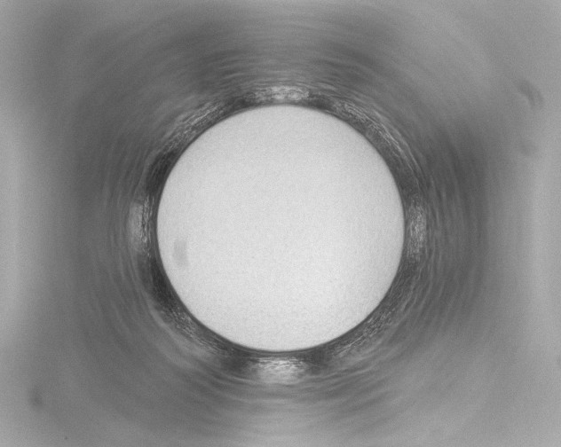 X0000115530218200912181534