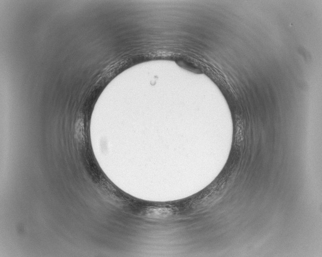 X0000115530220200912181533