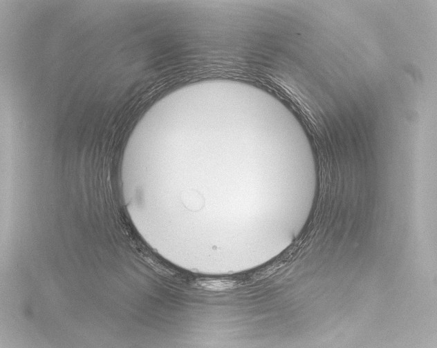 X0000115530221200912181533