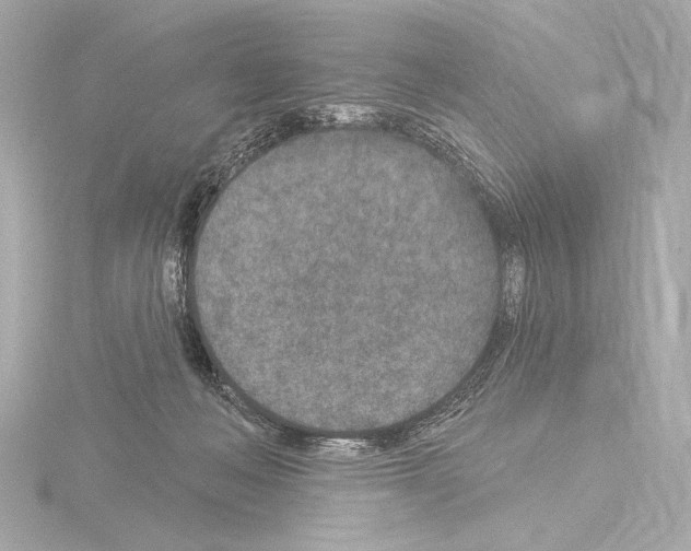 X0000115530222200912181533