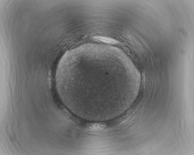 X0000115530223200912181533