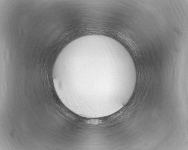 X0000115530225200912181533