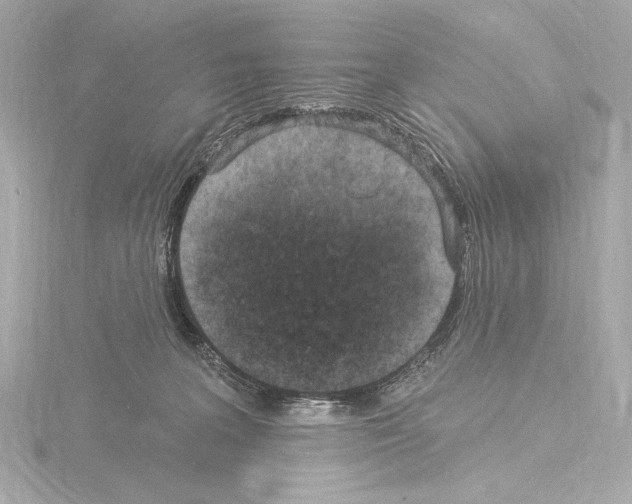 X0000115530227200912181533