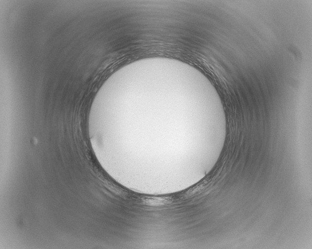 X0000115530229200912181533