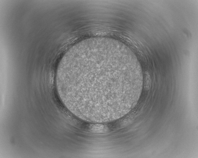 X0000115530230200912181533