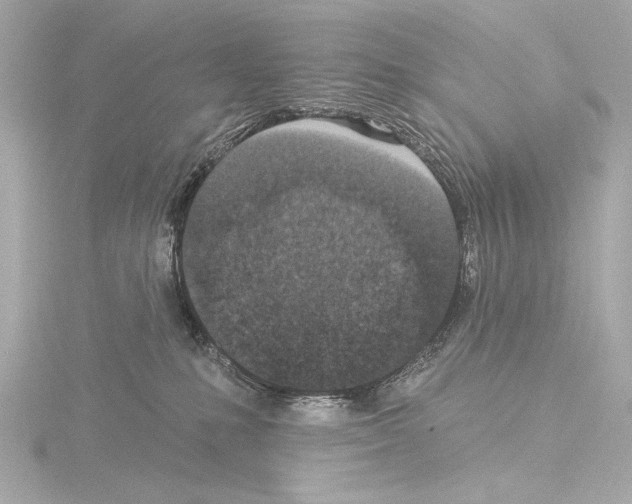 X0000115530231200912181533