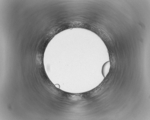 X0000115530232200912181533