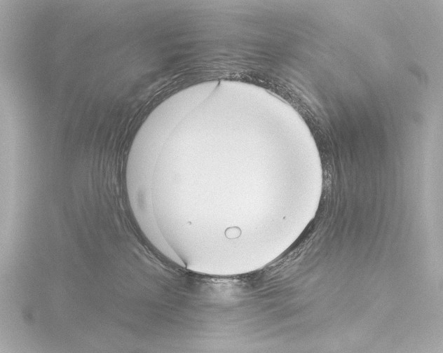 X0000115530233200912181533