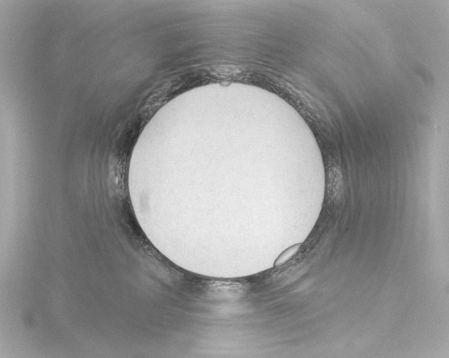 X0000115530234200912181533