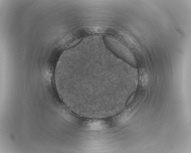 X0000115530235200912181533