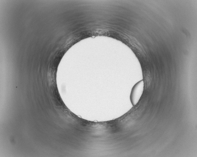 X0000115530236200912181533