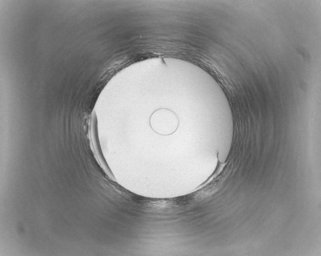 X0000115530237200912181533