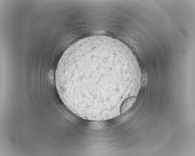 X0000115530238200912181533