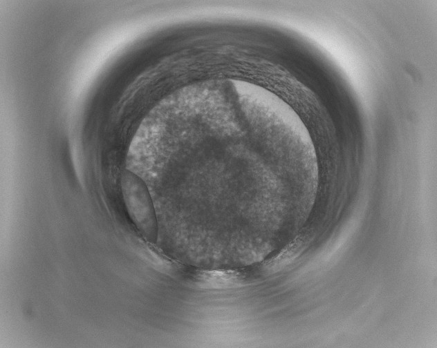 X0000115530239200912181533