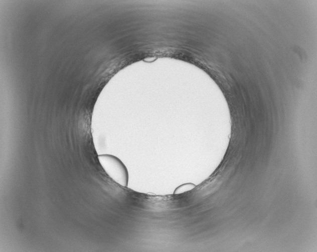 X0000115530240200912181533