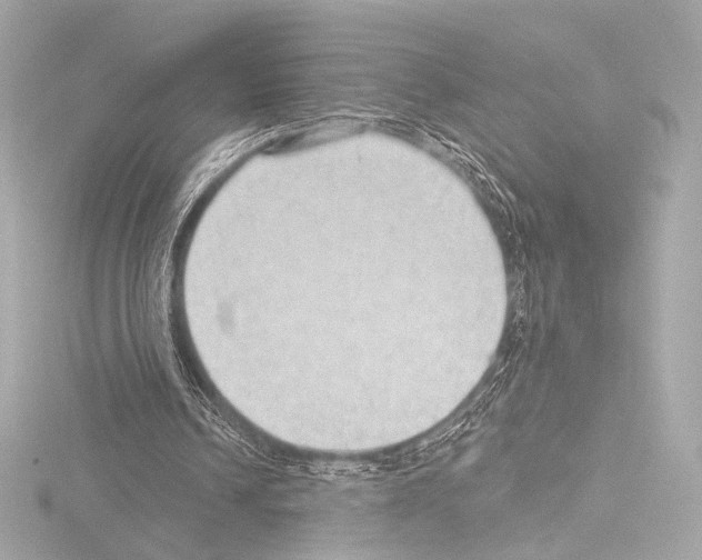 X0000115530242200912181533