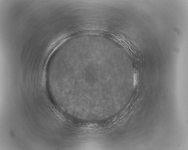 X0000115530243200912181533