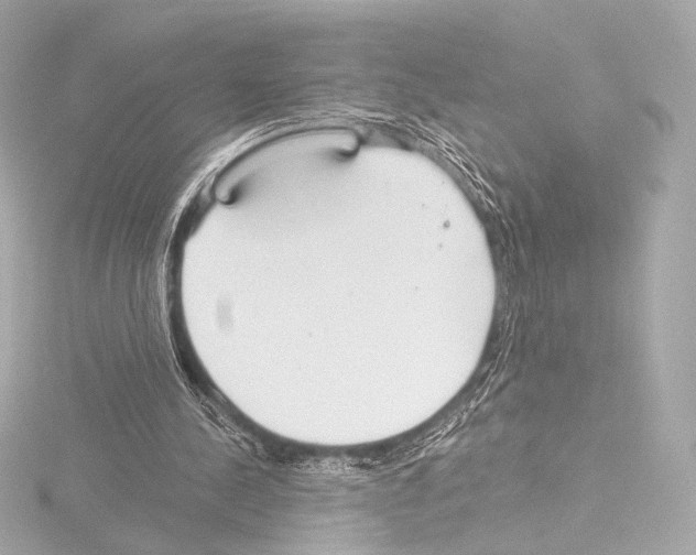 X0000115530244200912181533