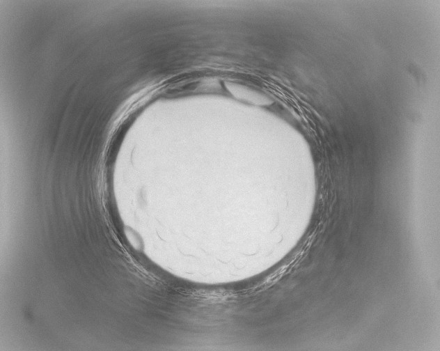 X0000115530245200912181533