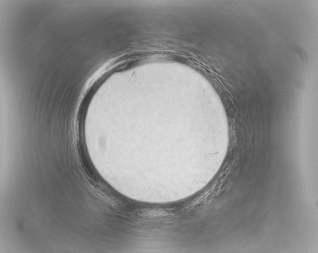 X0000115530246200912181533