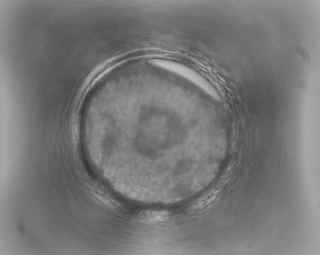 X0000115530247200912181533