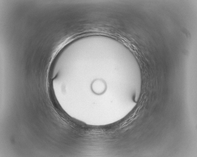 X0000115530248200912181533