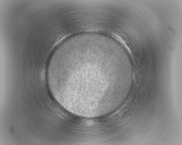 X0000115530249200912181533