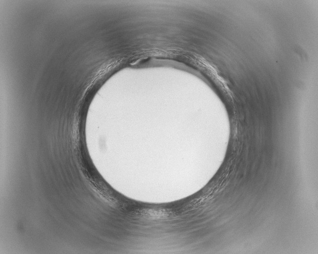 X0000115530250200912181533