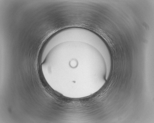 X0000115530252200912181533