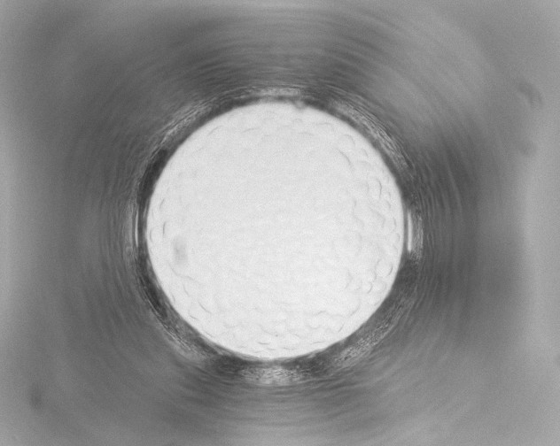 X0000115530253200912181533