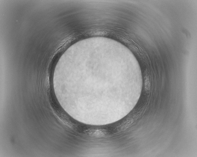 X0000115530254200912181533