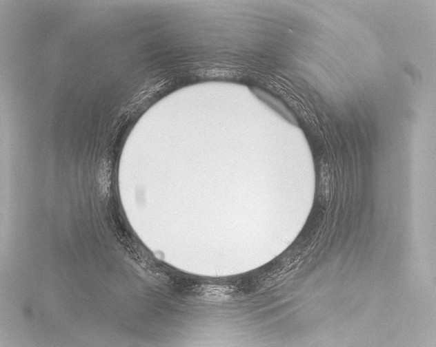 X0000115530255200912181533