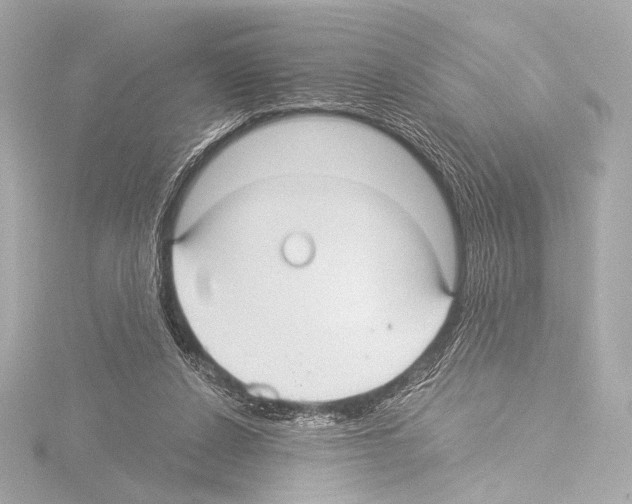 X0000115530256200912181533