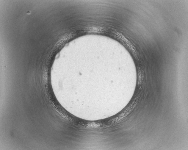 X0000115530257200912181533