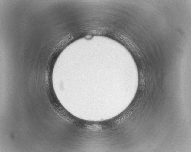 X0000115530258200912181533