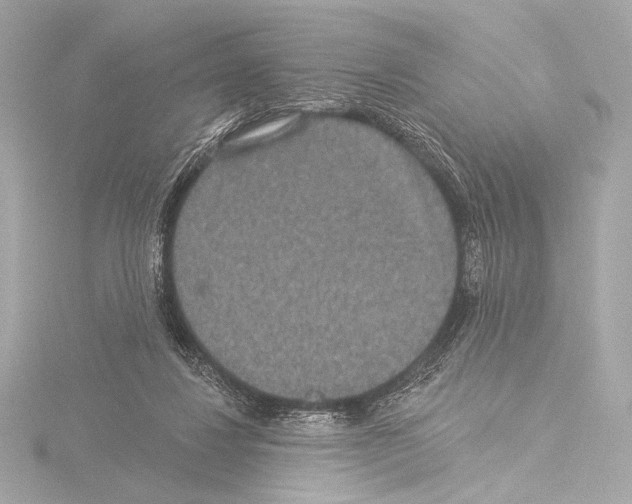 X0000115530260200912181533