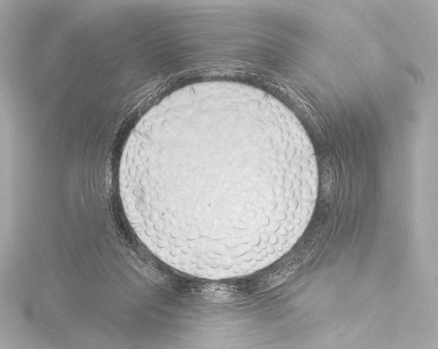 X0000115530261200912181533