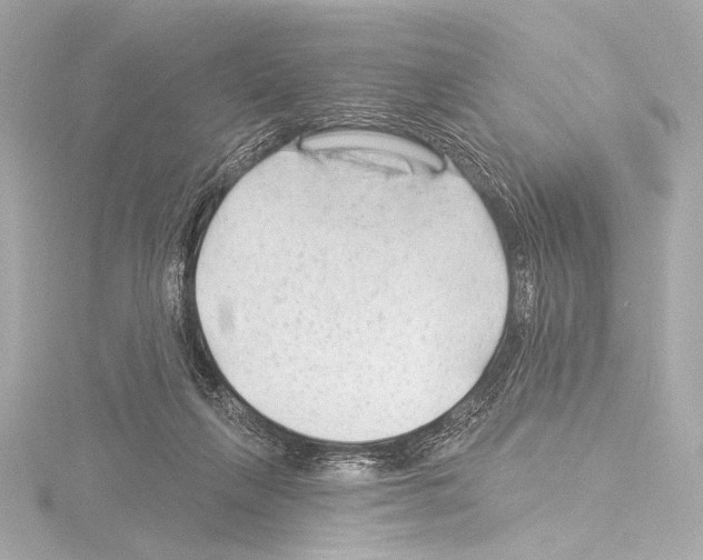 X0000115530263200912181533