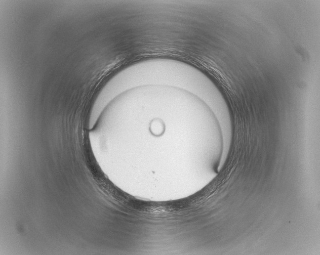 X0000115530264200912181533