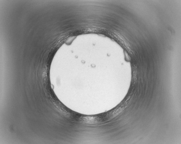 X0000115530265200912181533