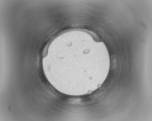 X0000115530266200912181533